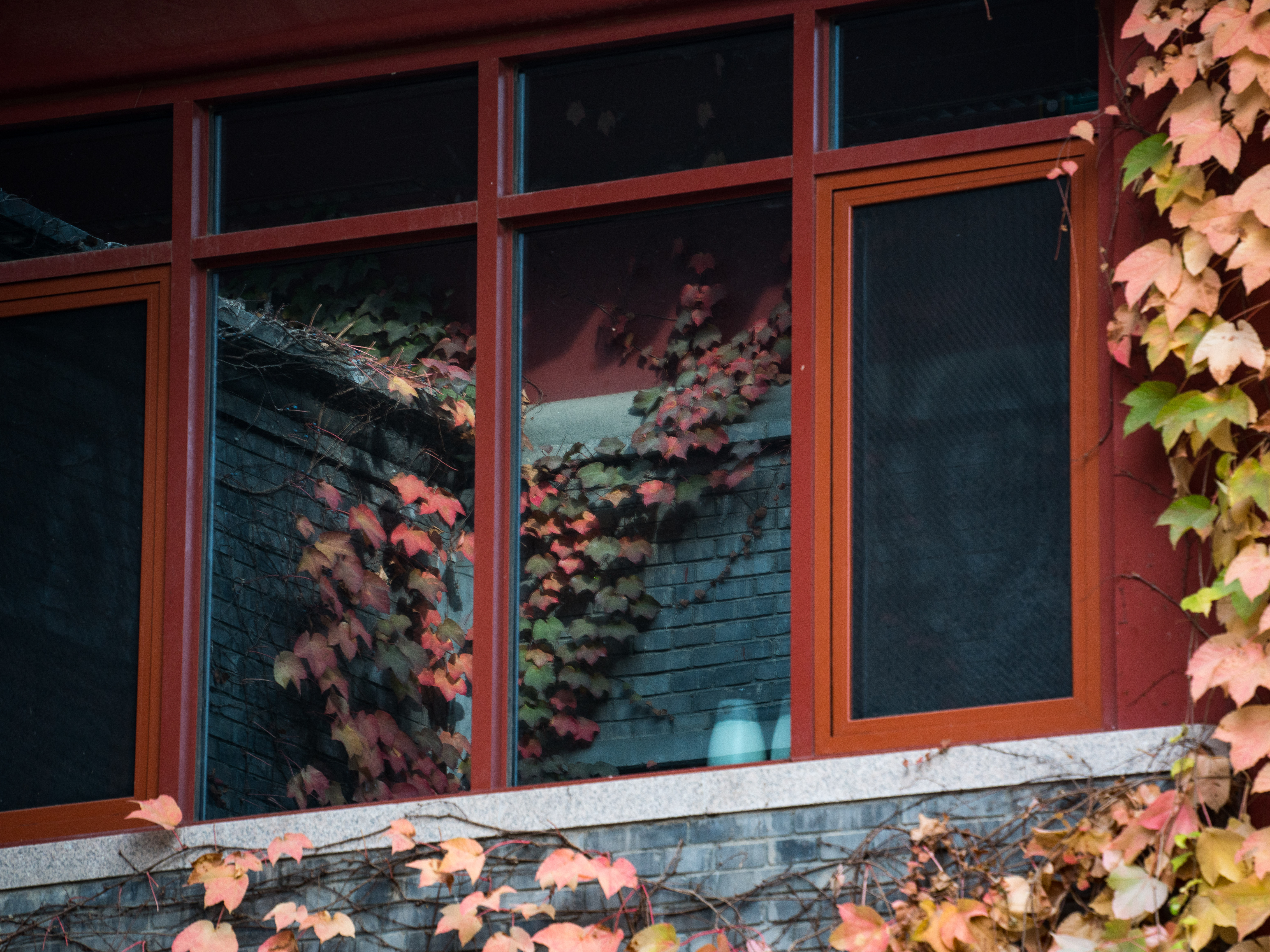 71ffff2f08f54a23a7765d66f5486939.jpg 71ffff2f08f54a23a7765d66f5486939.jpg