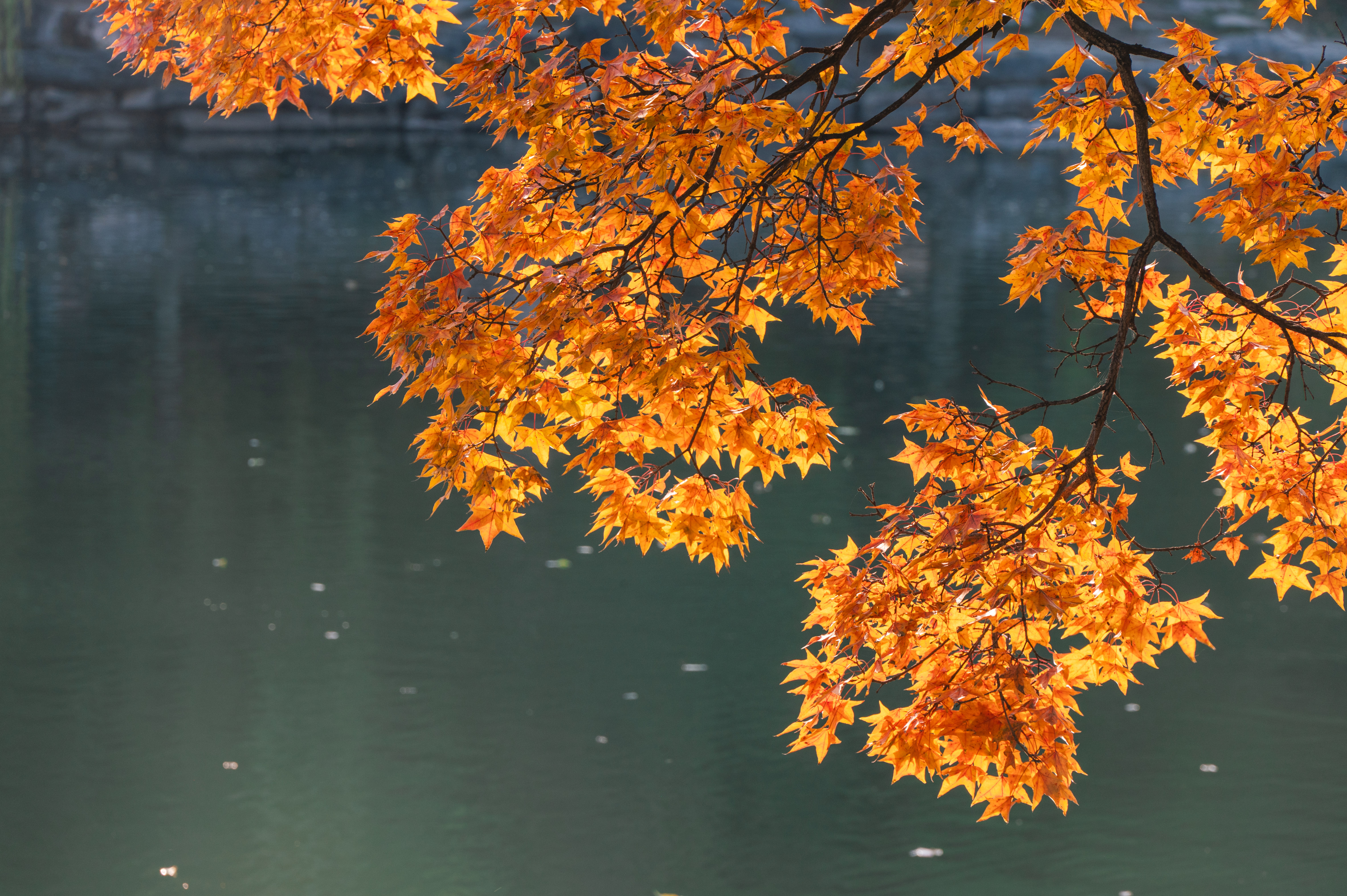 8ceda9e2b0dc414193b6d8eddbe43d02.jpg 8ceda9e2b0dc414193b6d8eddbe43d02.jpg