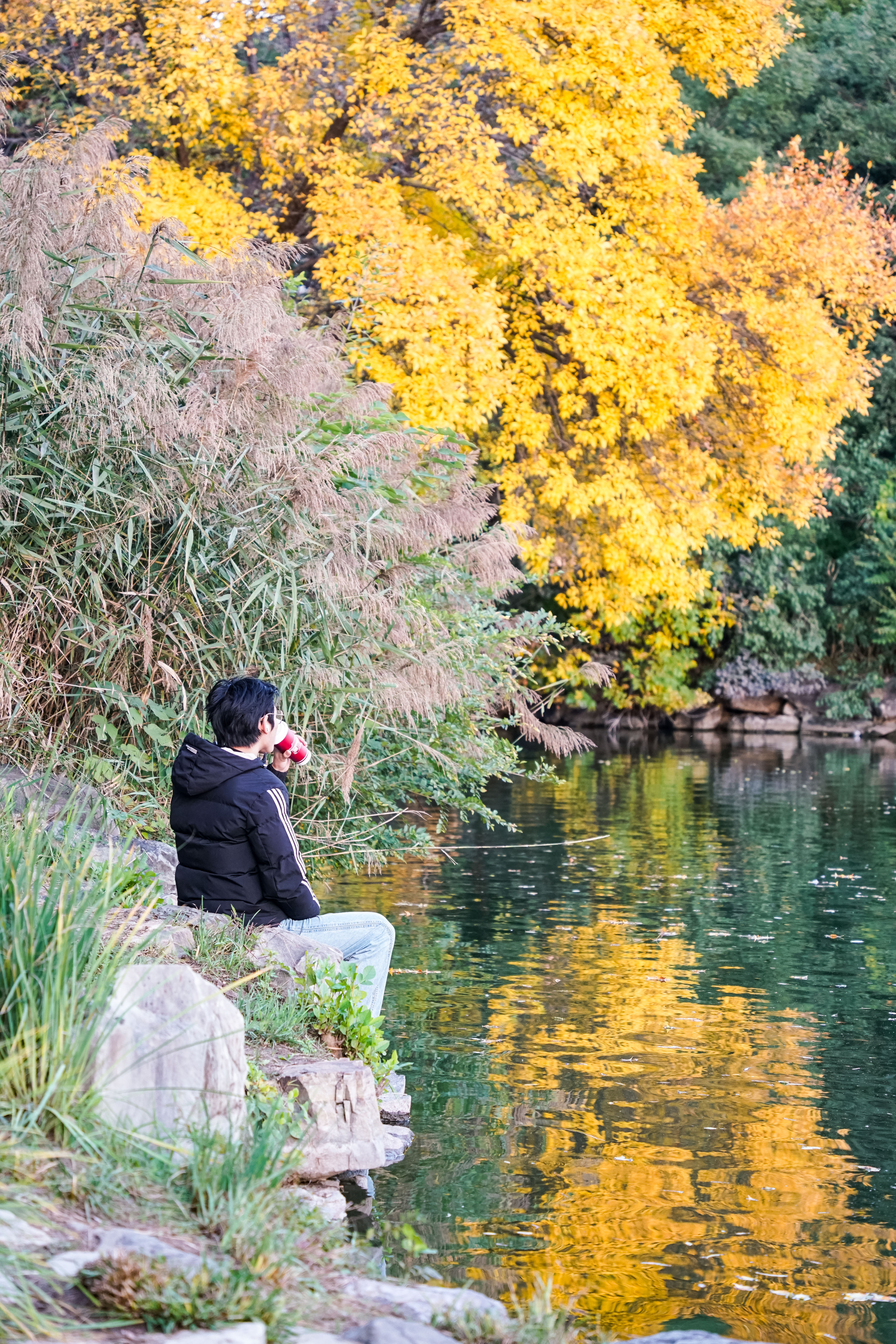 9ff30ecb973d44c1845b81c52e923fd8.jpg 9ff30ecb973d44c1845b81c52e923fd8.jpg