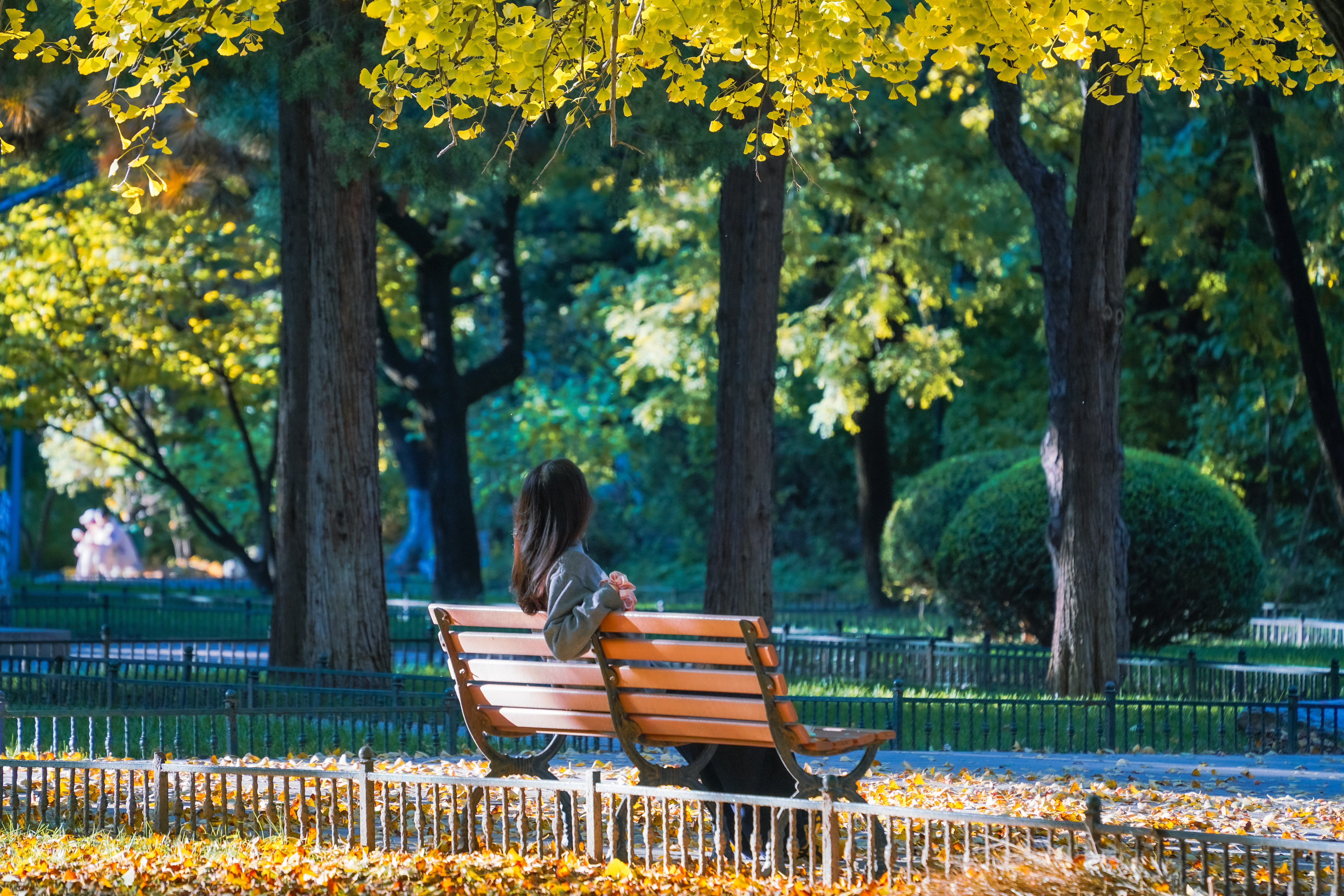 2c20eb1d39284a2ba3317c14c2469333.jpg 2c20eb1d39284a2ba3317c14c2469333.jpg