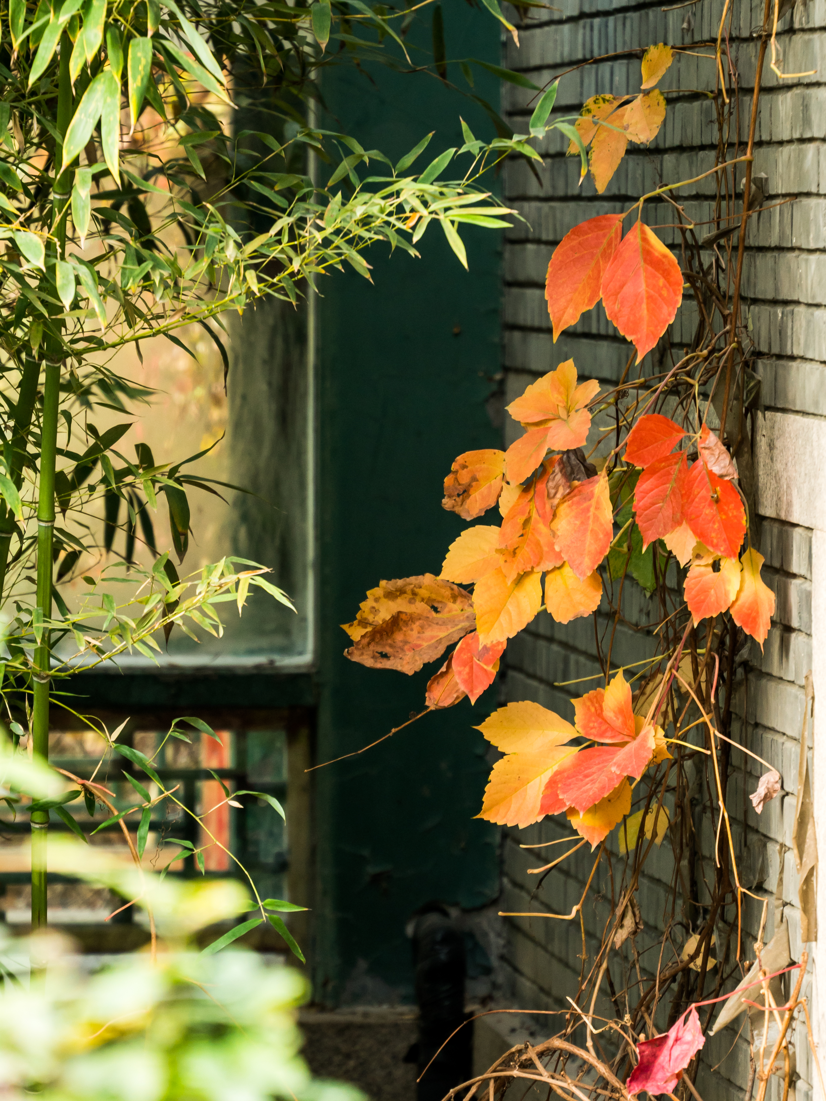 d1c065aec4514ae09e4a862fe4e1bc00.jpg d1c065aec4514ae09e4a862fe4e1bc00.jpg