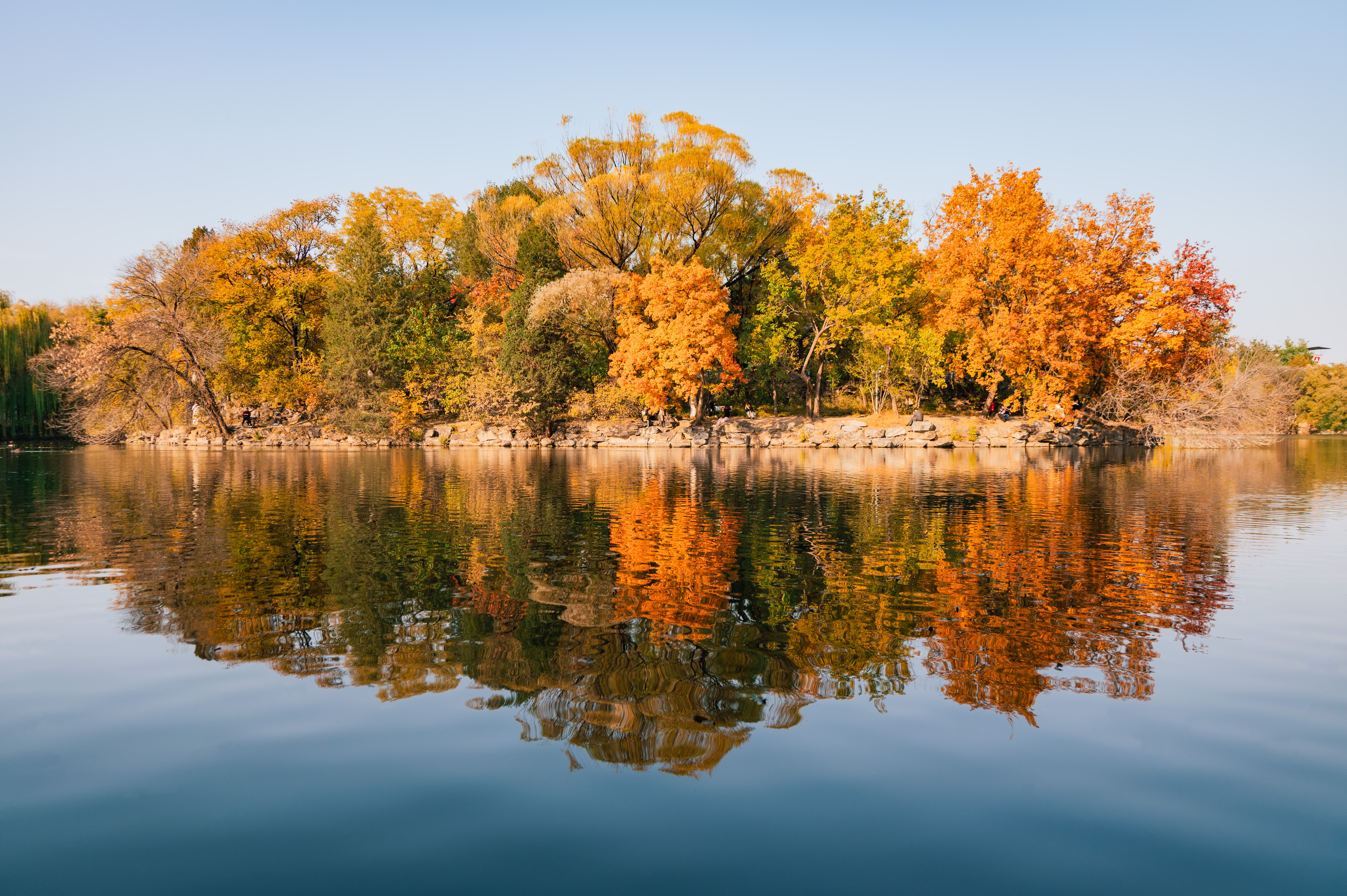 b947abd384164049af63cf091d3eda0b.jpg b947abd384164049af63cf091d3eda0b.jpg