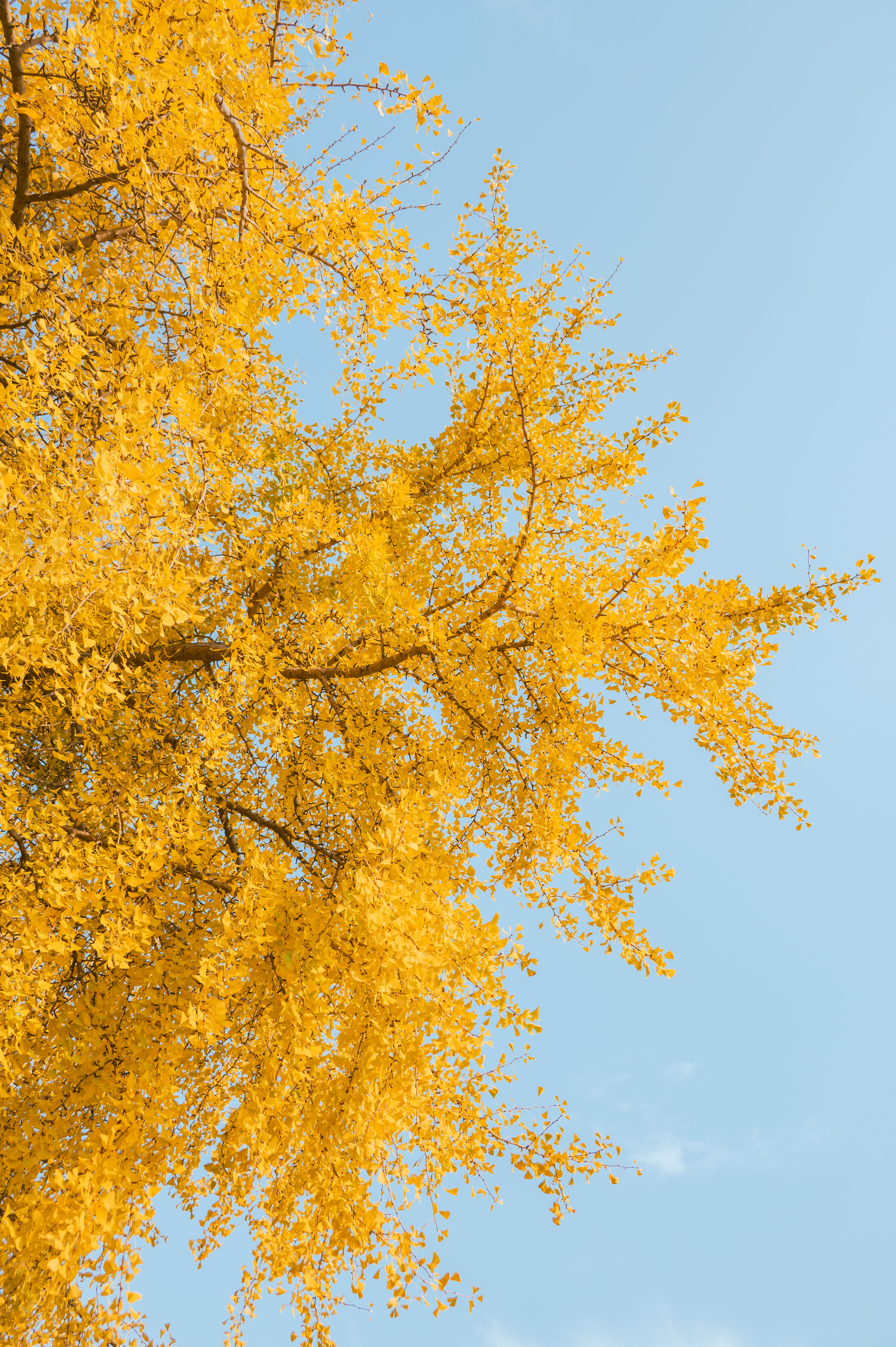 02e8761b3c3649bc9b22ea5eafbaf2ae.jpg 02e8761b3c3649bc9b22ea5eafbaf2ae.jpg