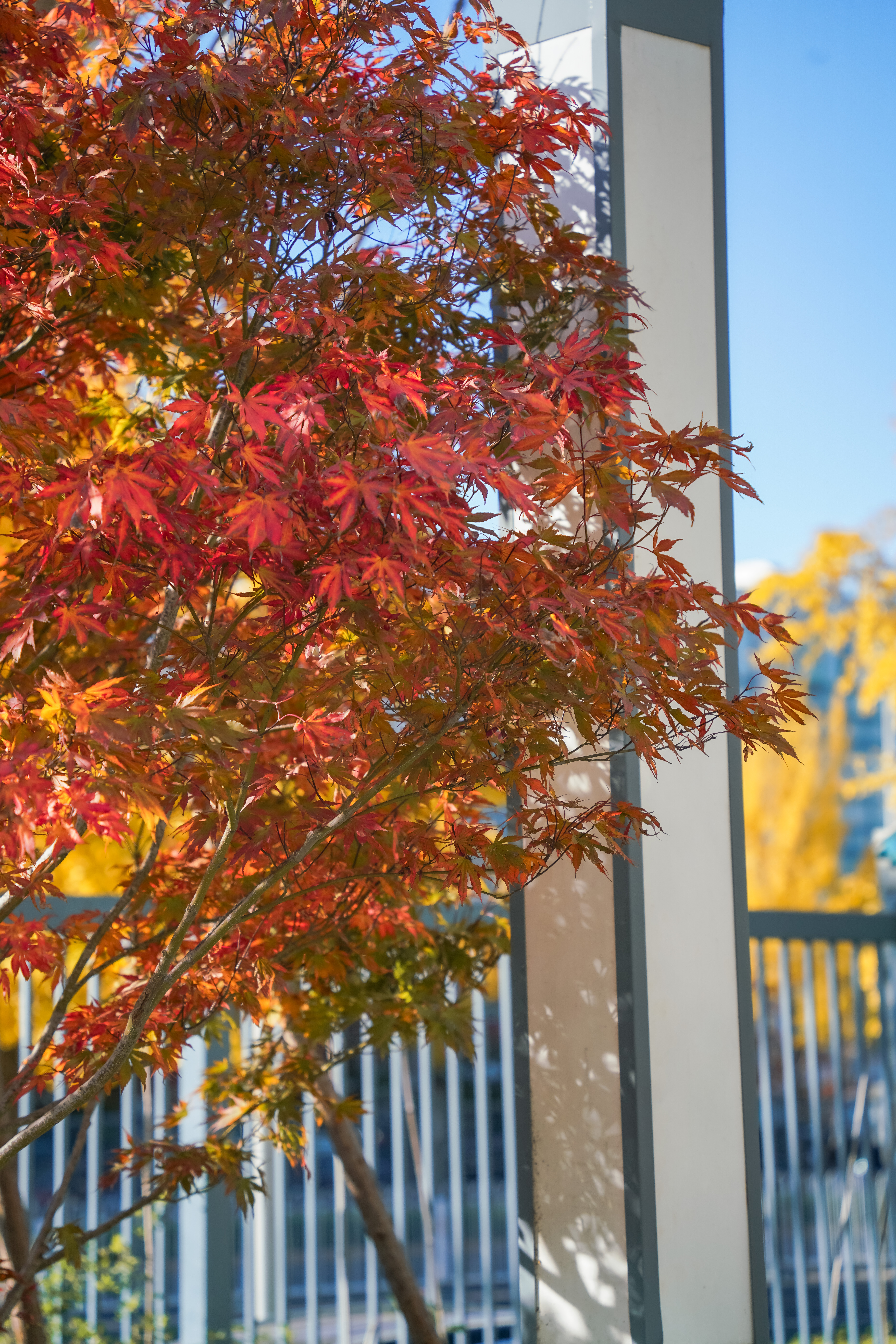 10cb754f8be34d229d8cdcb7c0e78e77.jpg 10cb754f8be34d229d8cdcb7c0e78e77.jpg