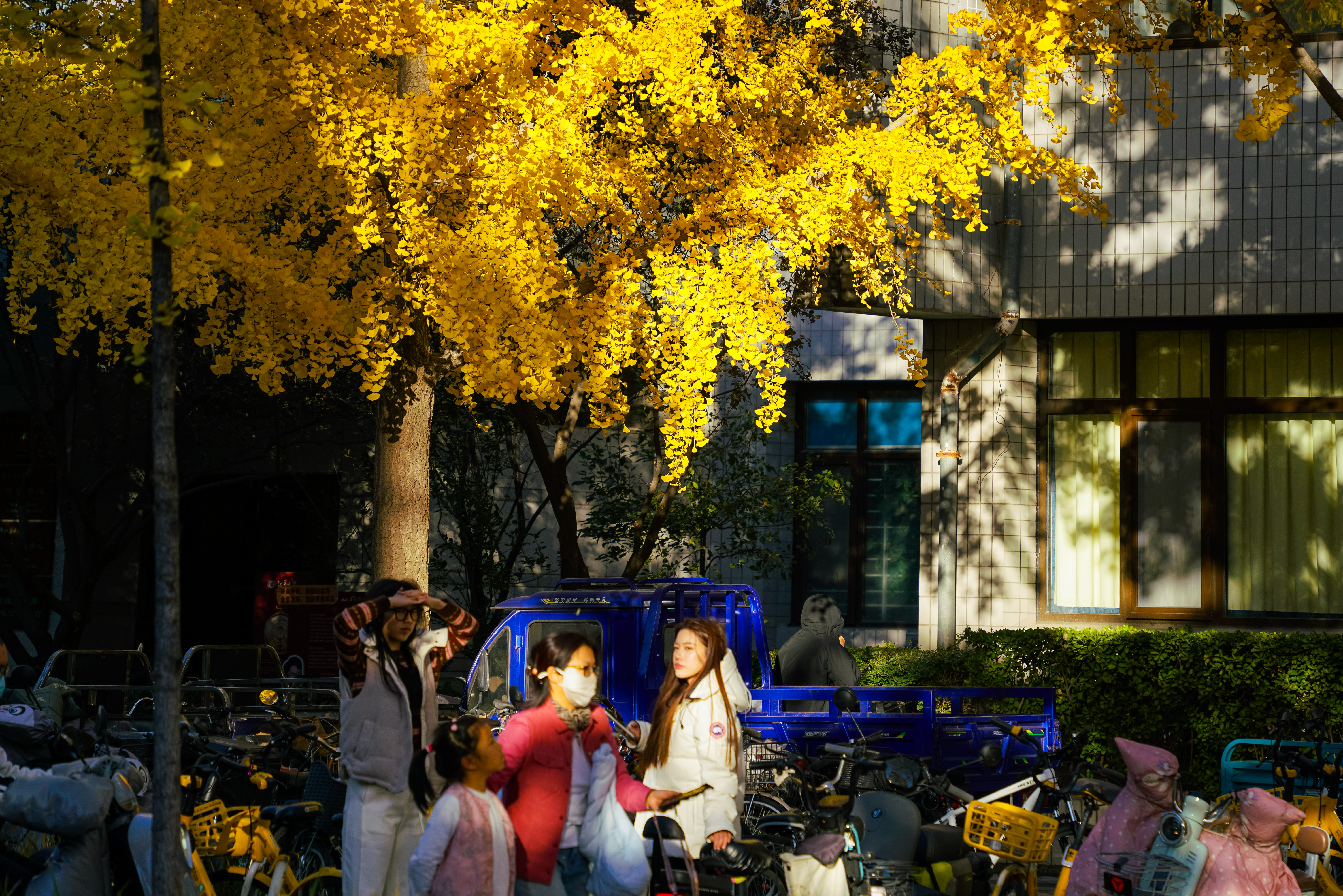 26a1dc25ad194e77bc9bcfc7c4423469.jpg 26a1dc25ad194e77bc9bcfc7c4423469.jpg