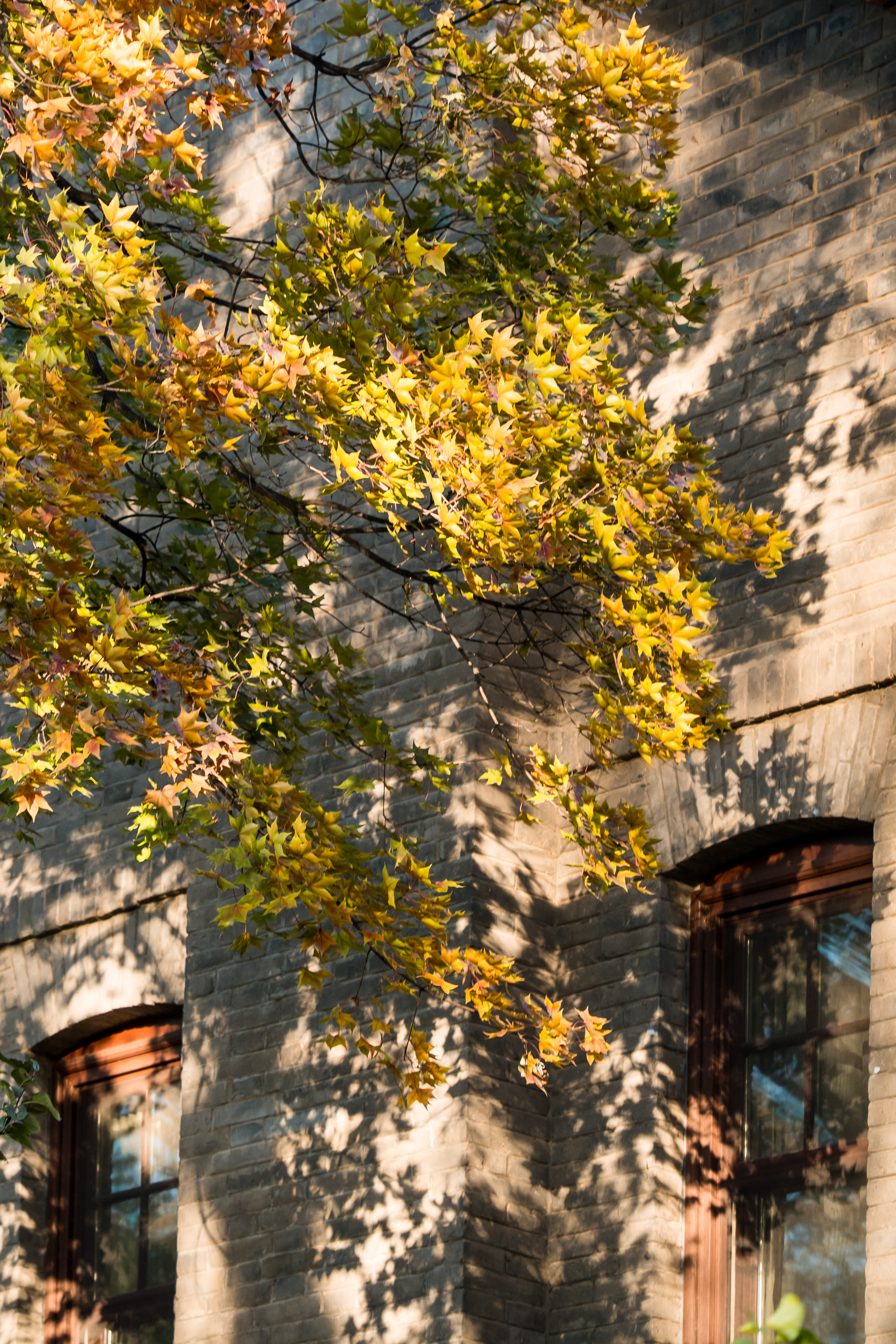 96bd66431546469a9099e6498aa129be.jpg 96bd66431546469a9099e6498aa129be.jpg