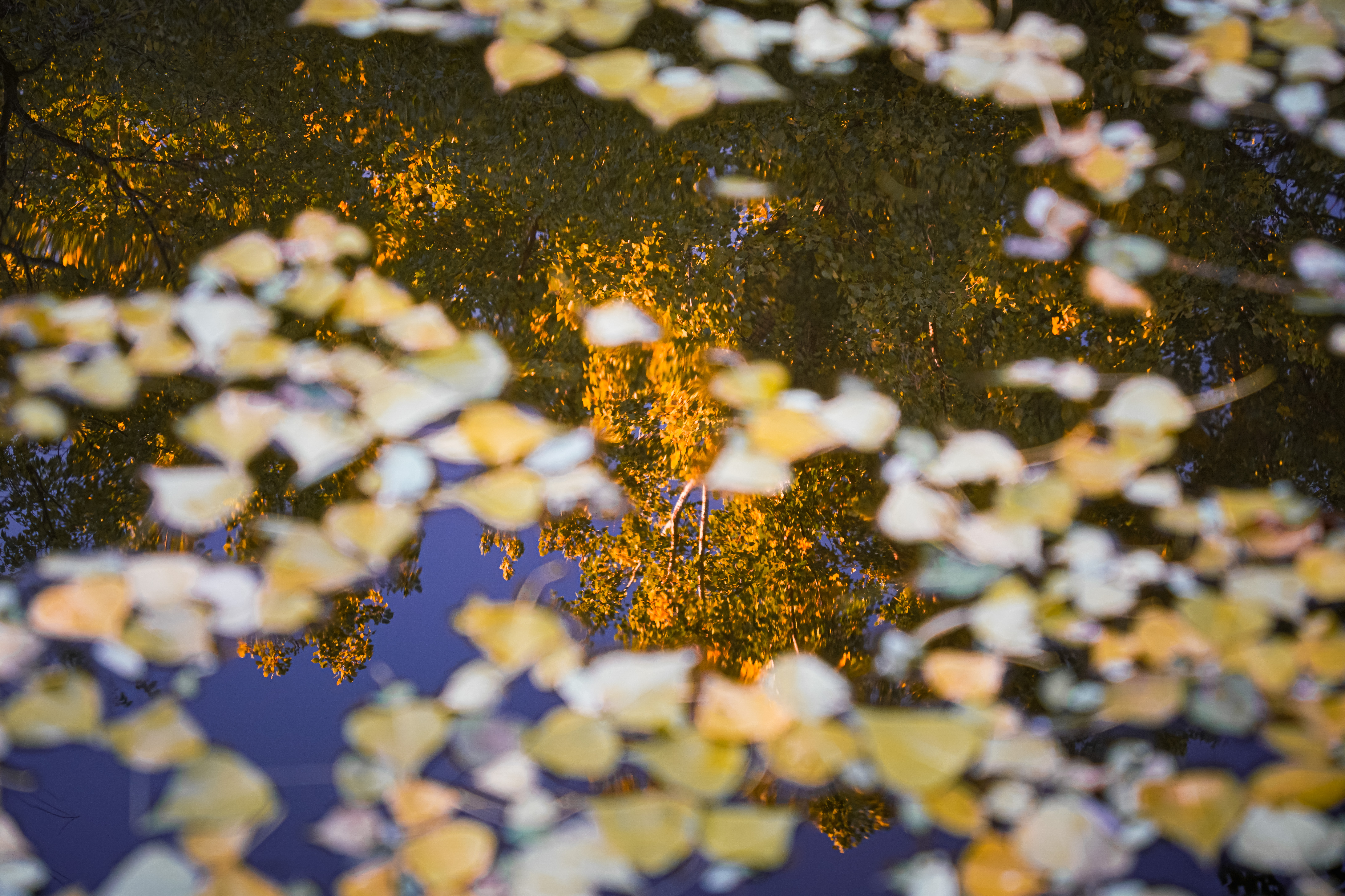 37df402fe8a04e5a9743f9d78a6d04b5.jpg 37df402fe8a04e5a9743f9d78a6d04b5.jpg