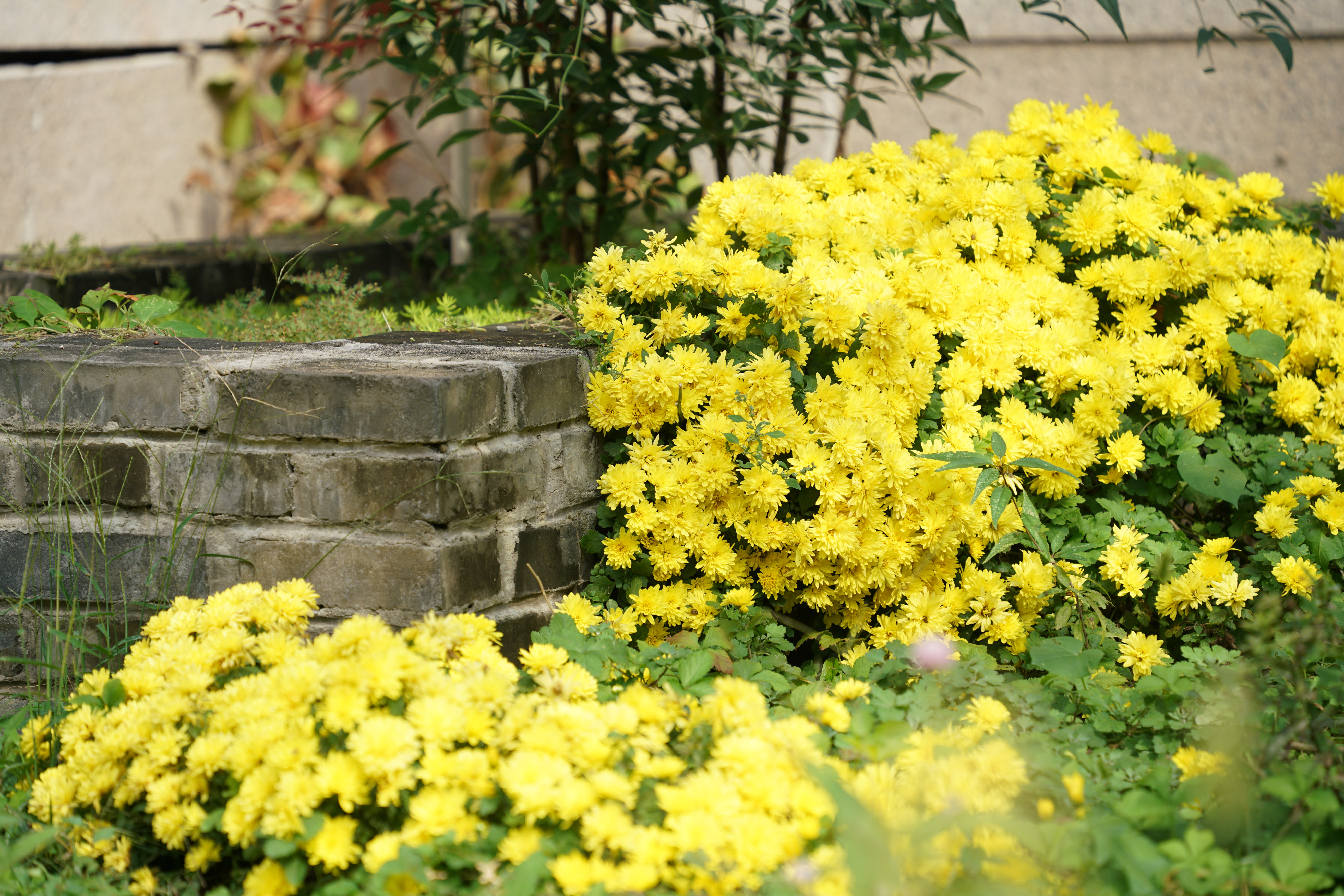 a4ac809247c444ec9da4771873a5156e.jpg a4ac809247c444ec9da4771873a5156e.jpg