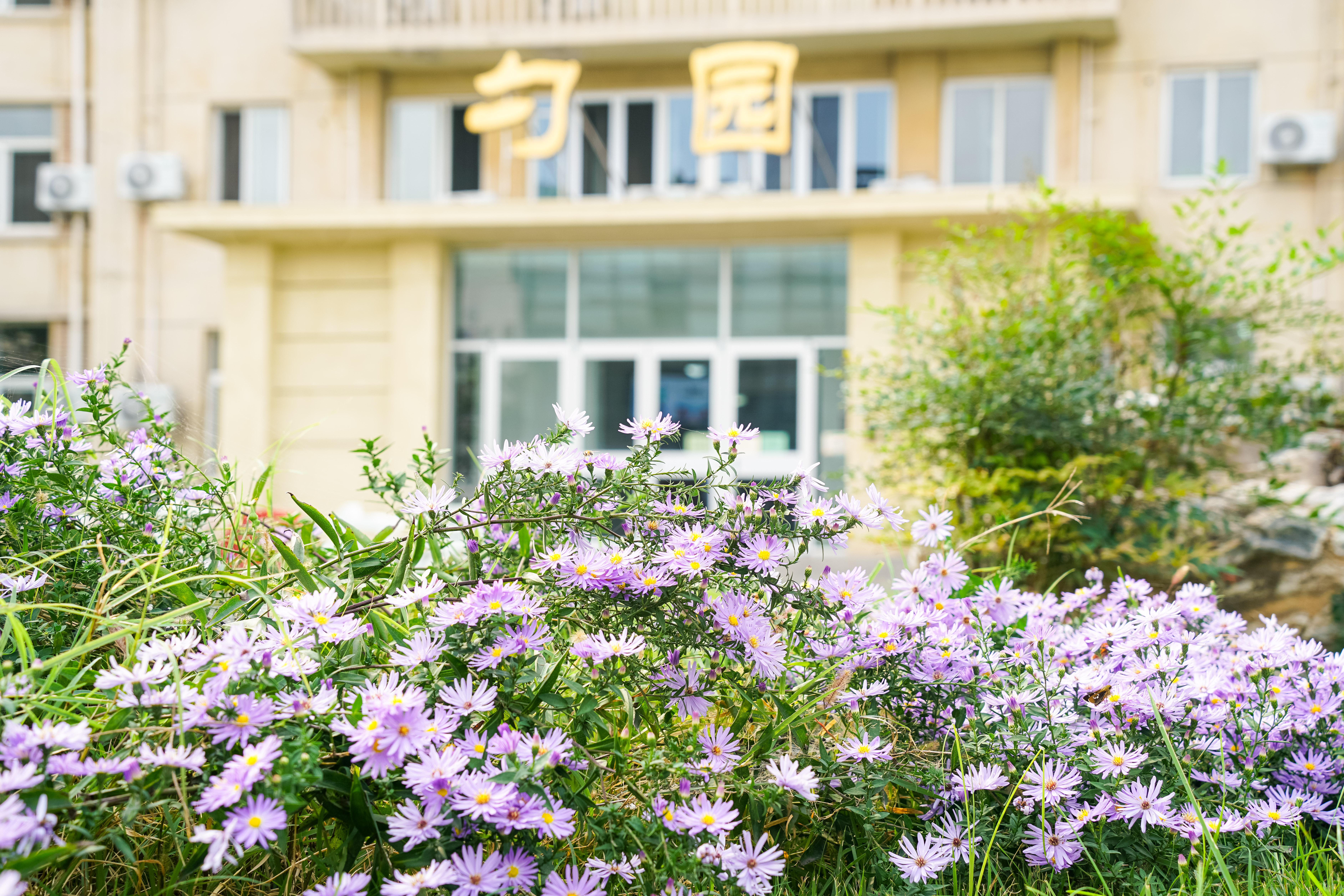 e0abc904edb44bfdb73b568dd26ac203.jpg e0abc904edb44bfdb73b568dd26ac203.jpg