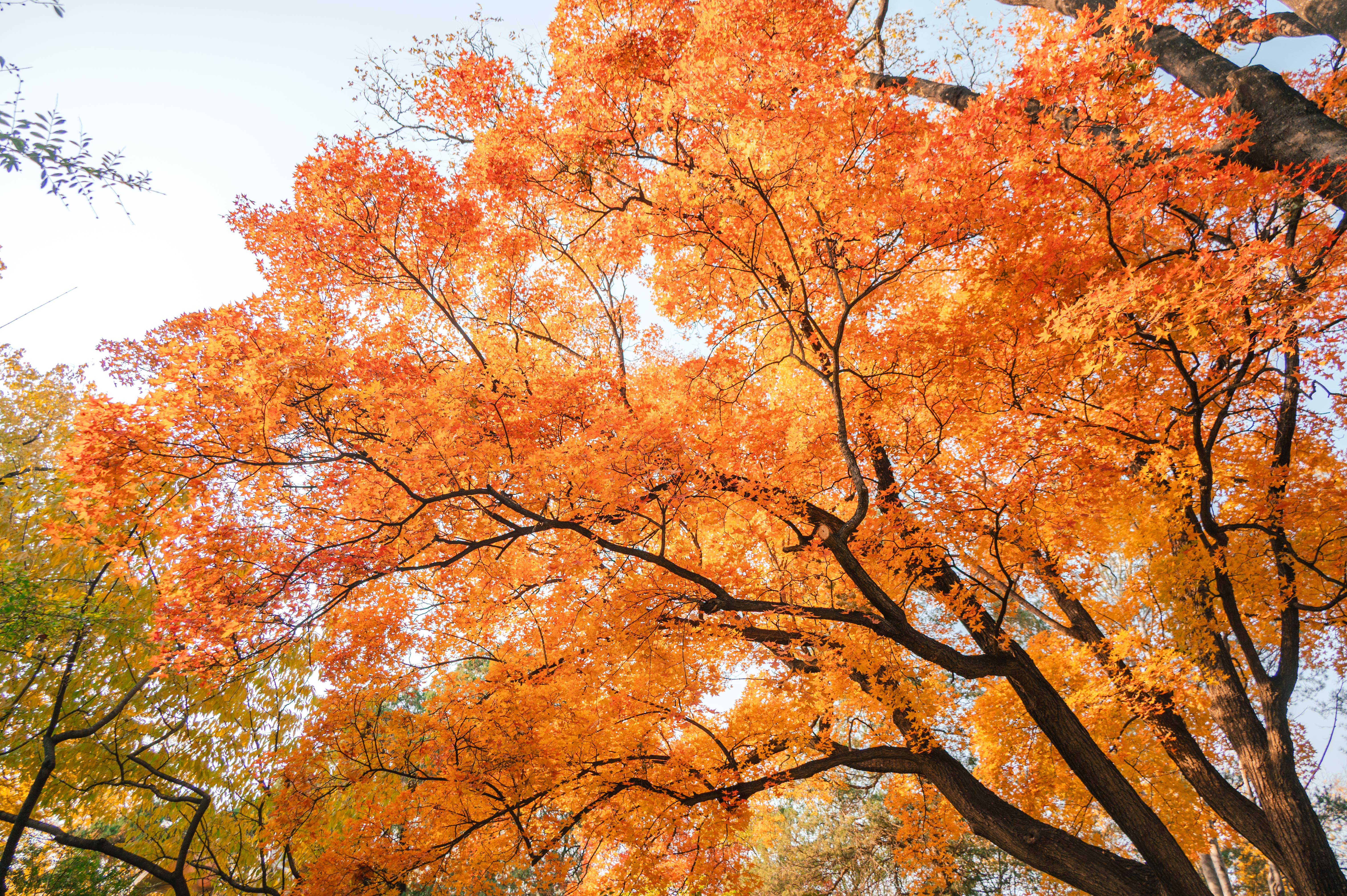 5d8d573f2c5a47dcbc57ff1210dbd157.jpg 5d8d573f2c5a47dcbc57ff1210dbd157.jpg