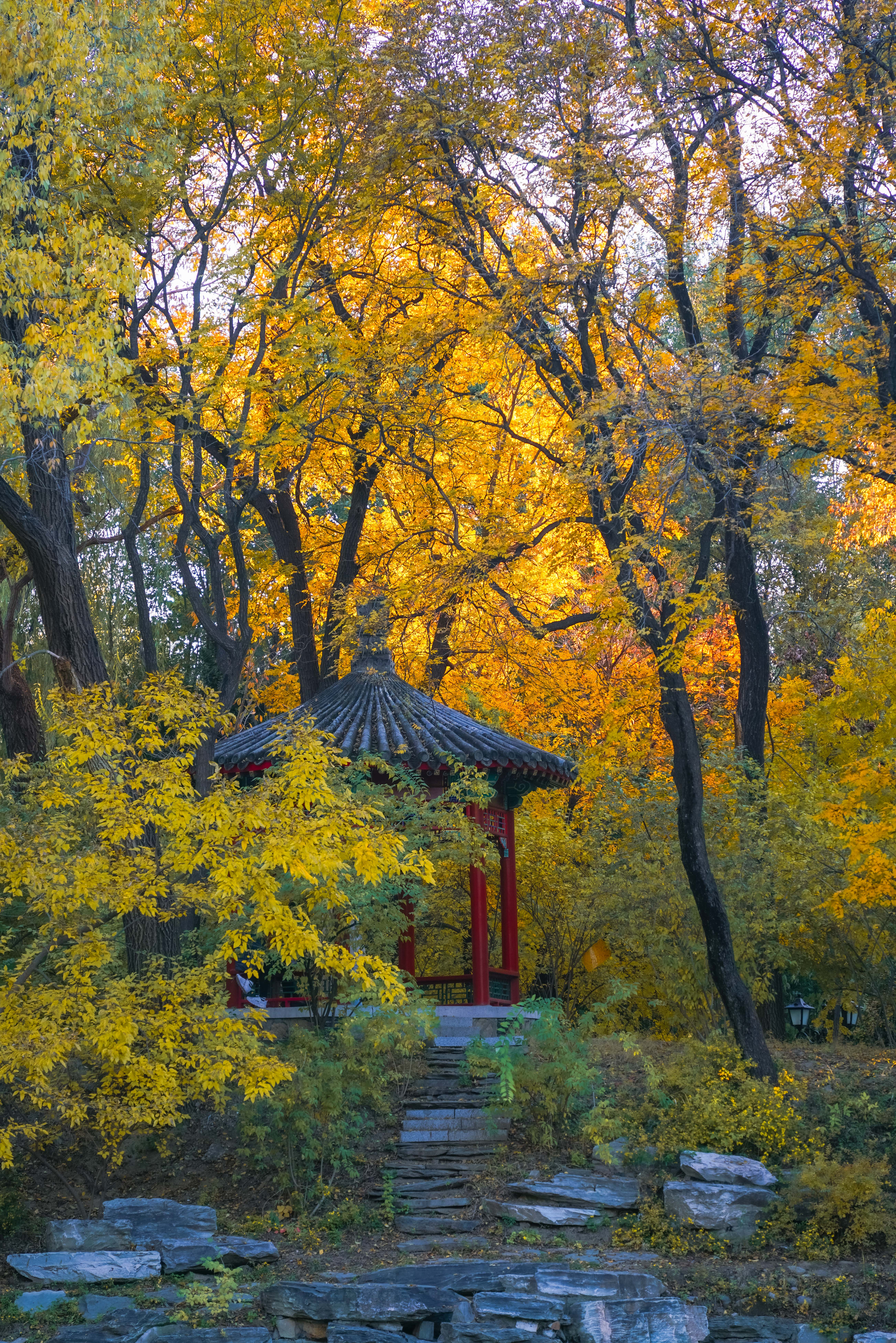 bd48c1f6f1244f08b076b6e63065dfee.jpg bd48c1f6f1244f08b076b6e63065dfee.jpg