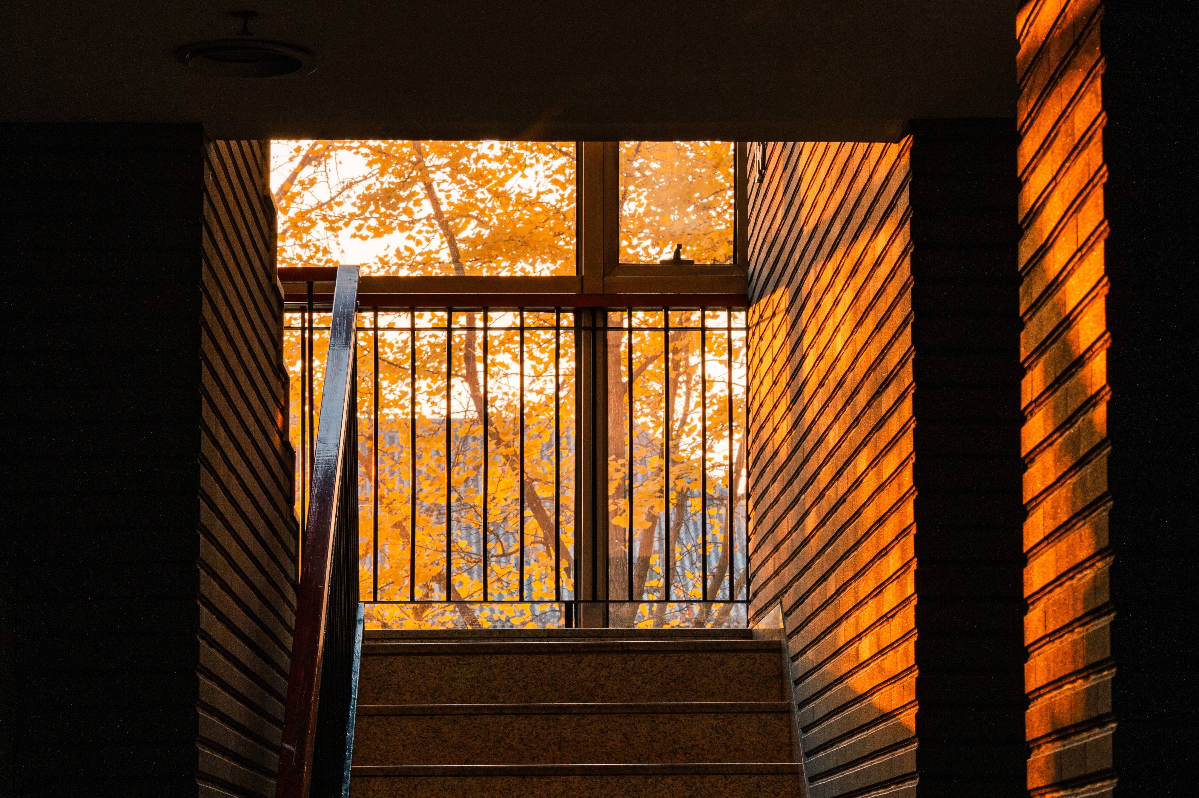 5b948a36329b4d68bf00222b070ec0a3.jpg 5b948a36329b4d68bf00222b070ec0a3.jpg