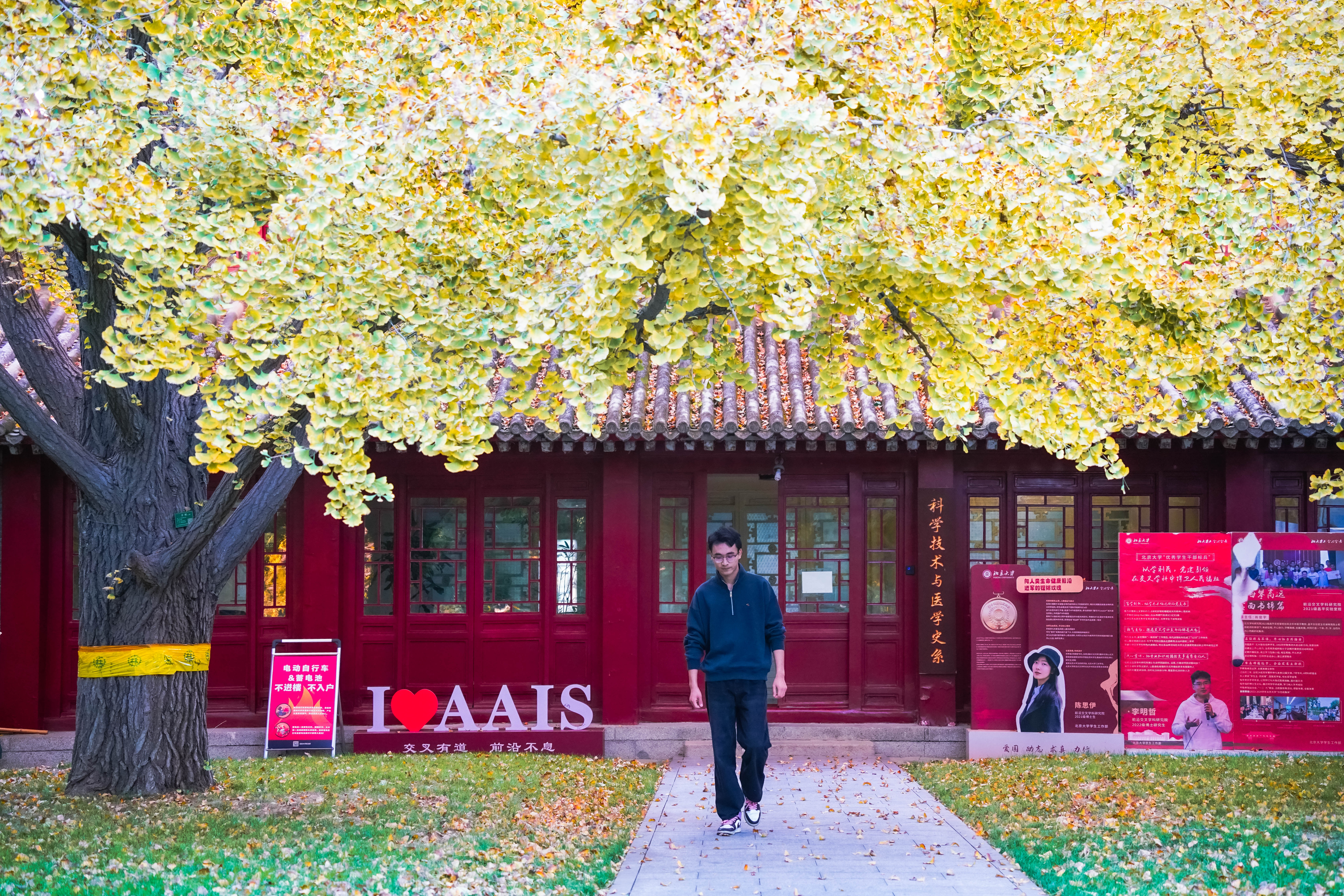 142a2f03e0864267936bacacb13ac340.jpg 142a2f03e0864267936bacacb13ac340.jpg