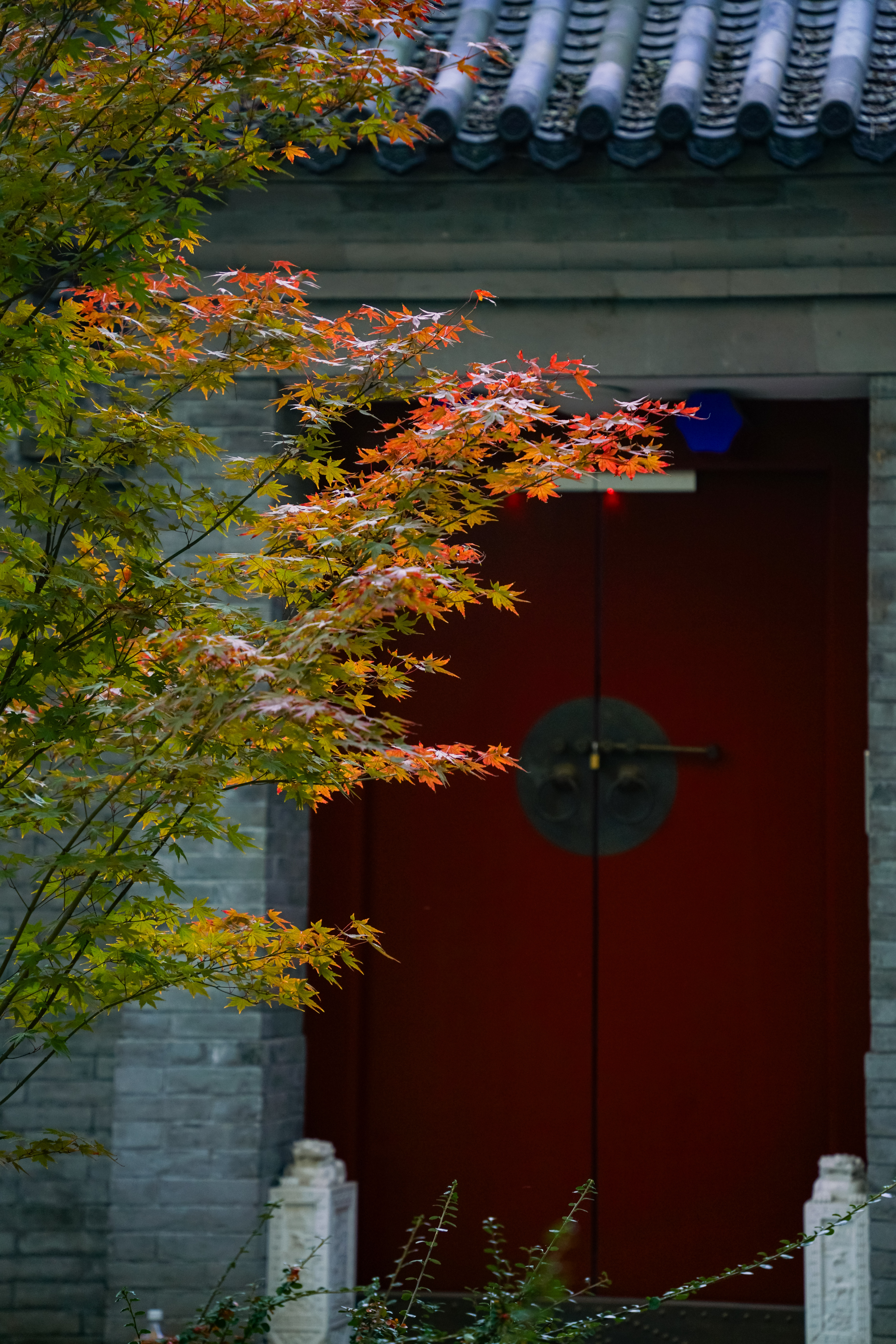 bbe2b945977044b2a52e3d6d406ad25e.jpg bbe2b945977044b2a52e3d6d406ad25e.jpg