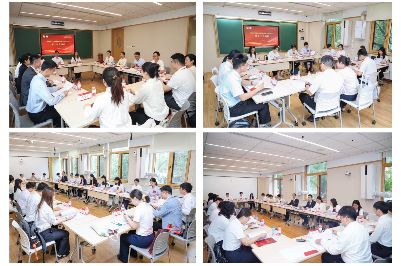 共青团北京大学第十九次代表大会举行2.png